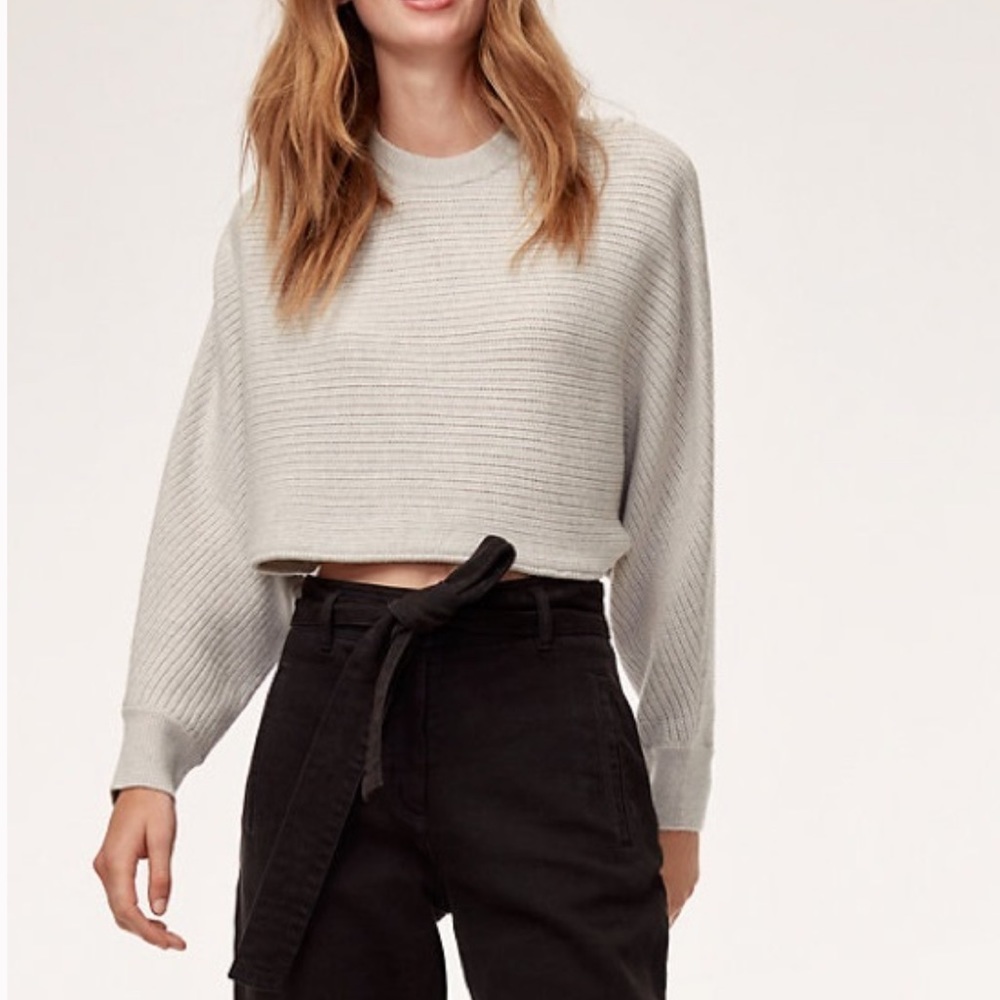 Aritzia Lolan Sweater (Wilfred Free)